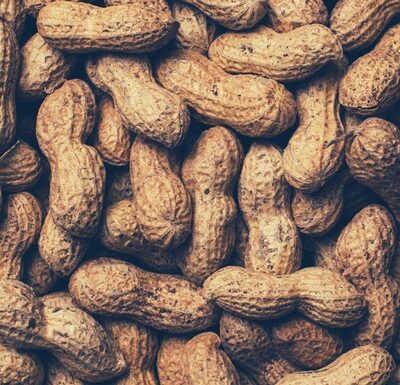 Food allergies: detection and management for seniors