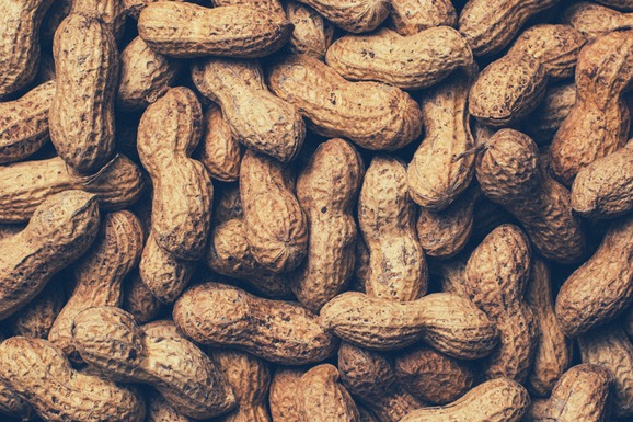 Food allergies: detection and management for seniors