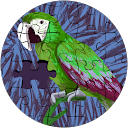 Mark Smith profile picture