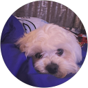 samantha barton profile picture